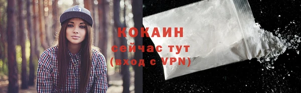 ПСИЛОЦИБИНОВЫЕ ГРИБЫ Карпинск
