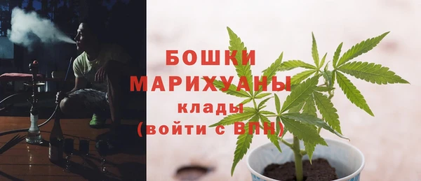 ALPHA-PVP Кинешма